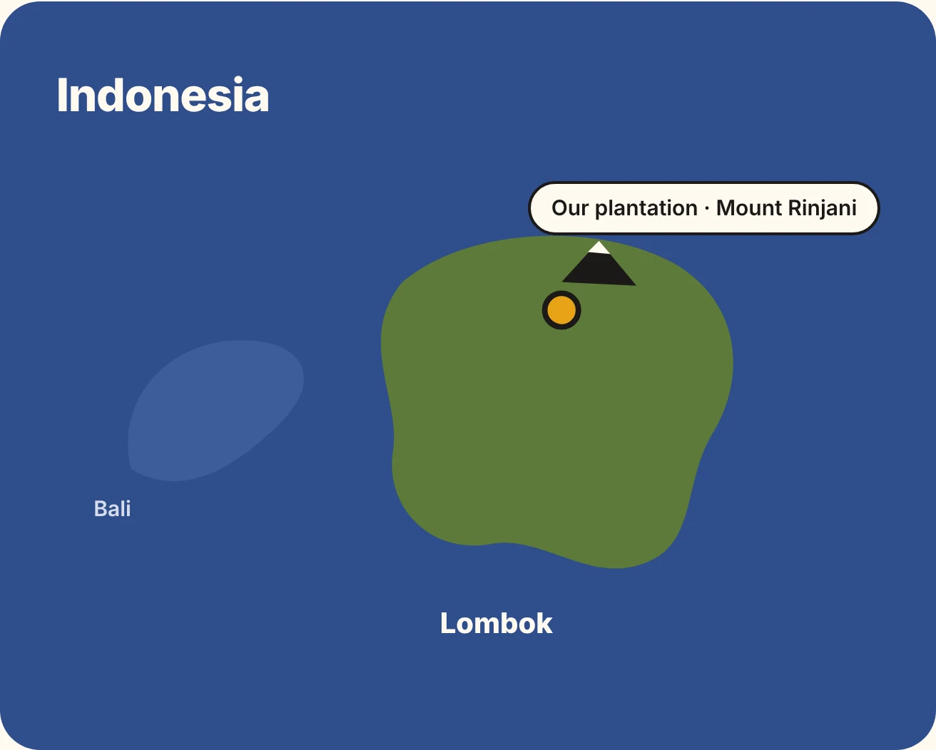 Map: our plantation in North Lombok, at Mount Rinjani, just east of Bali