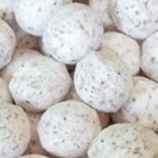 Close-up of Moringa Root pills
